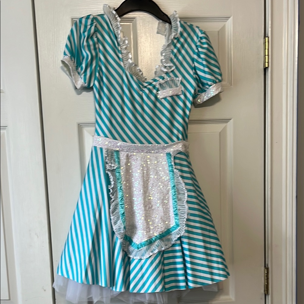 Striped Blue and White Kids or Adult waitress Costume